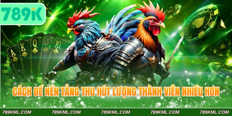 Đá Gà 789K 2 Cách để nền tảng thu hút lượng thành viên nhiều hơn