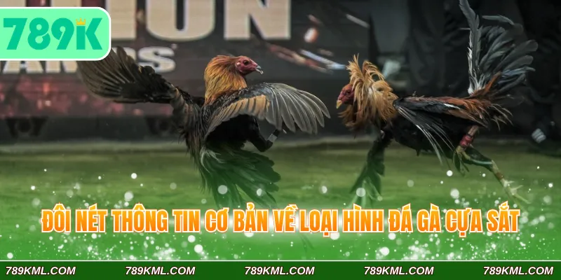 Đá Gà Cựa Sắt 789K - Trải Nghiệm Dễ Hơn Với Tin Luật Chi Tiết 2 Đôi nét thông tin cơ bản về loại hình đá gà cựa sắt 789K