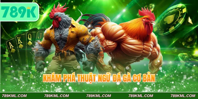 Thuật ngữ đá gà 789K Phổ Biến Dành Cho Tân Binh Đam Mê Chọi Kê 2 Khám phá thuật ngữ cơ bản trong loại hình đá gà