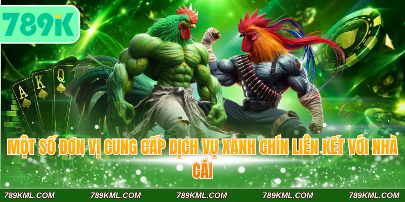 Đá Gà 789K 4 Một số đơn vị cung cấp dịch vụ xanh chín liên kết với nhà cái