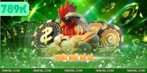 Thuật ngữ đá gà