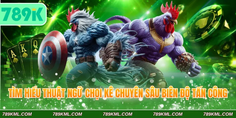 Thuật ngữ đá gà 789K Phổ Biến Dành Cho Tân Binh Đam Mê Chọi Kê 3 Tìm hiểu thuật ngữ chọi kê chuyên sâu biên độ tấn công